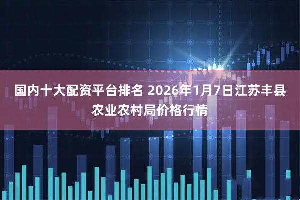 国内十大配资平台排名 2026年1月7日江苏丰县农业农村局价格行情