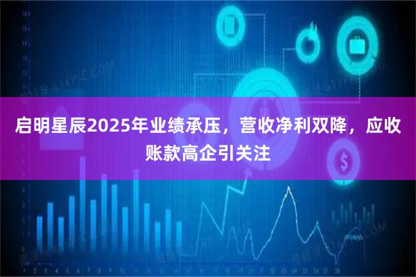 启明星辰2025年业绩承压，营收净利双降，应收账款高企引关注