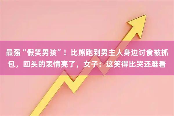 最强“假笑男孩”！比熊跑到男主人身边讨食被抓包，回头的表情亮了，女子：这笑得比哭还难看