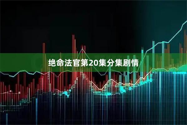 绝命法官第20集分集剧情