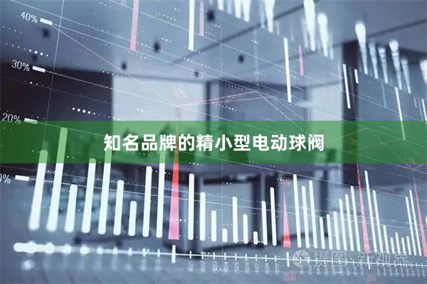 知名品牌的精小型电动球阀